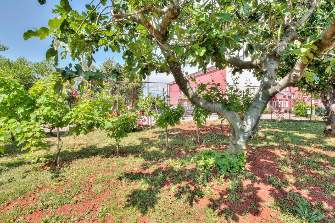 Apartments El Faro Savudrija Εξωτερικό φωτογραφία